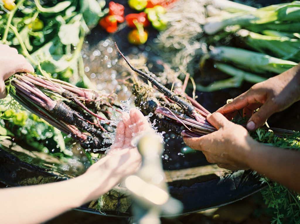 Culinary Discovery and Cultural Connections