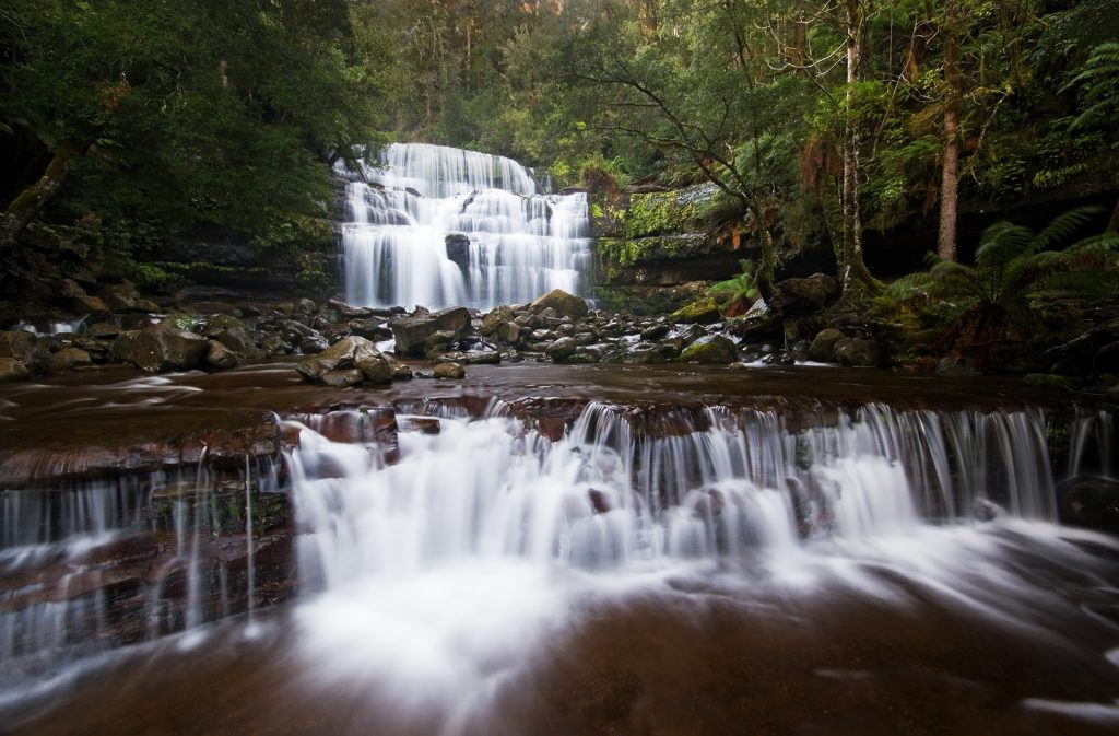 Tasmanian Highlights