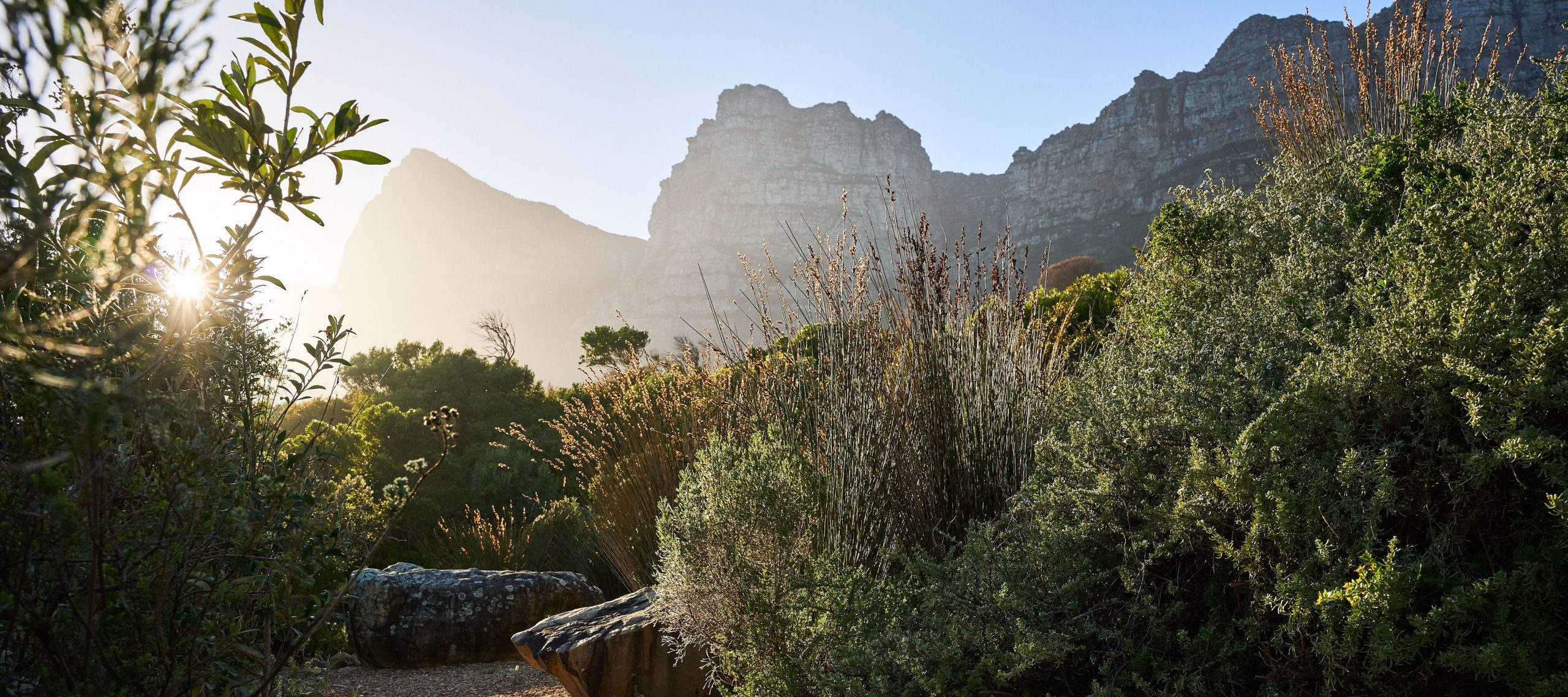 South Africa